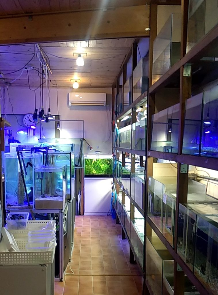 お魚倉庫店内2
