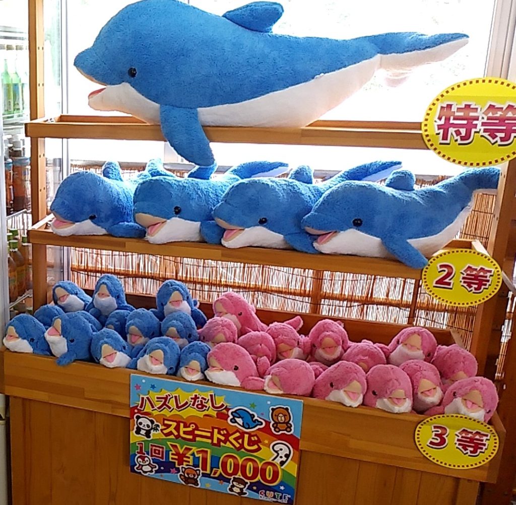 ドルフィンセンター売店6