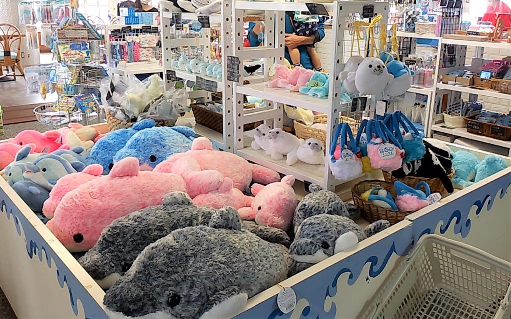 ドルフィンセンター売店2