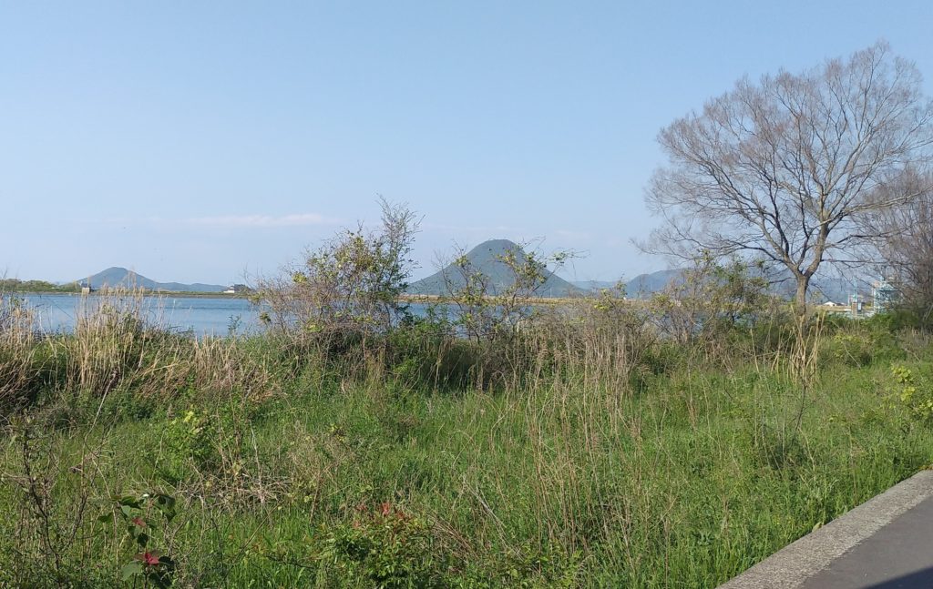 WOODS大西からの讃岐富士