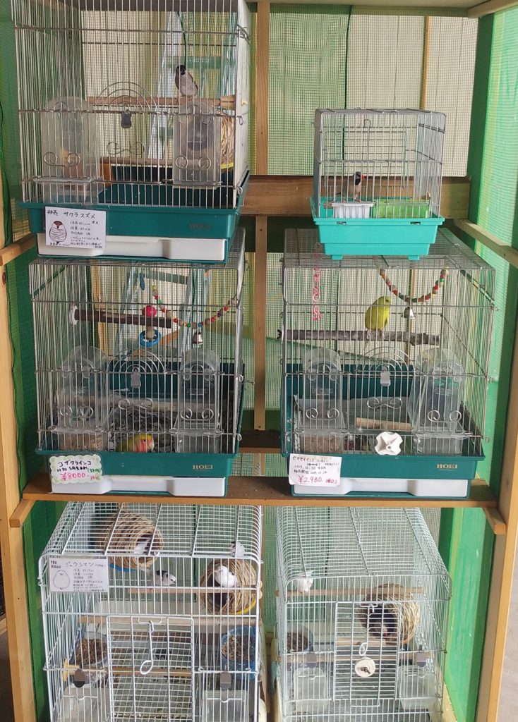 お魚倉庫鳥売り場