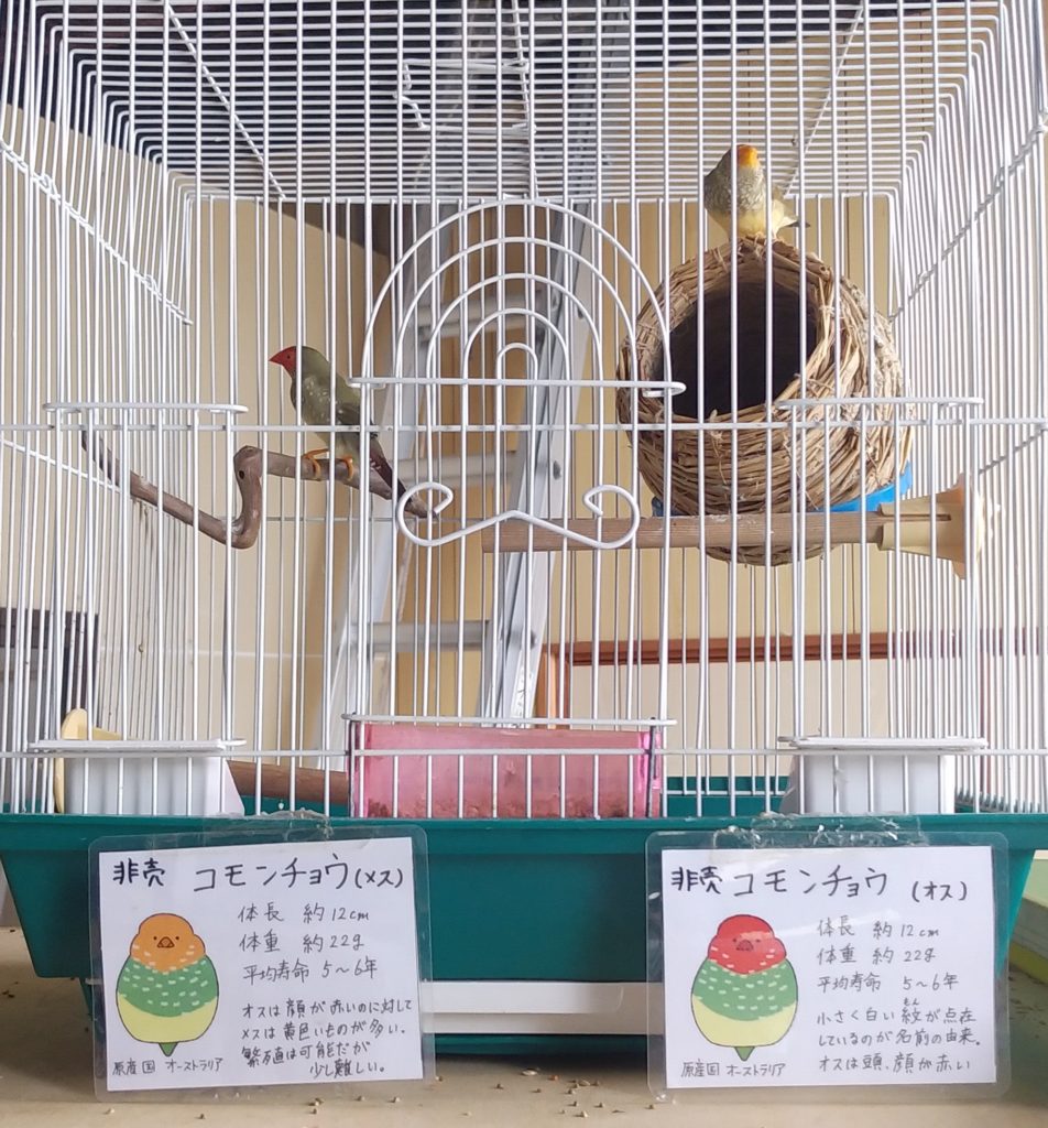 お魚倉庫コモンチョウ