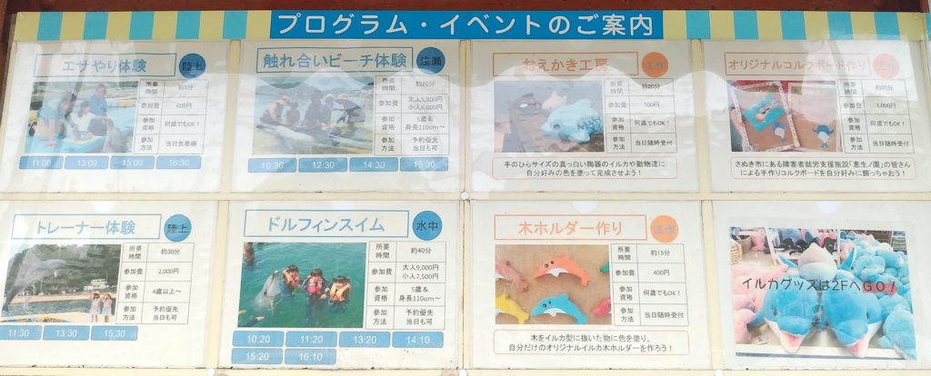 ドルフィンセンタープログラム案内