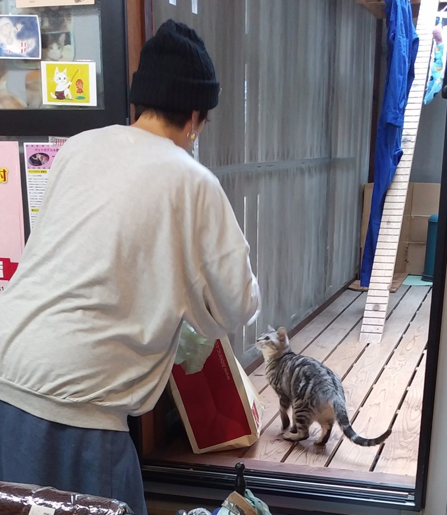 『ねこのシータ』猫と店主