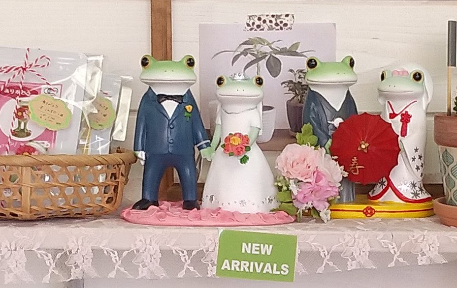 『SIESTA』カエルの結婚式