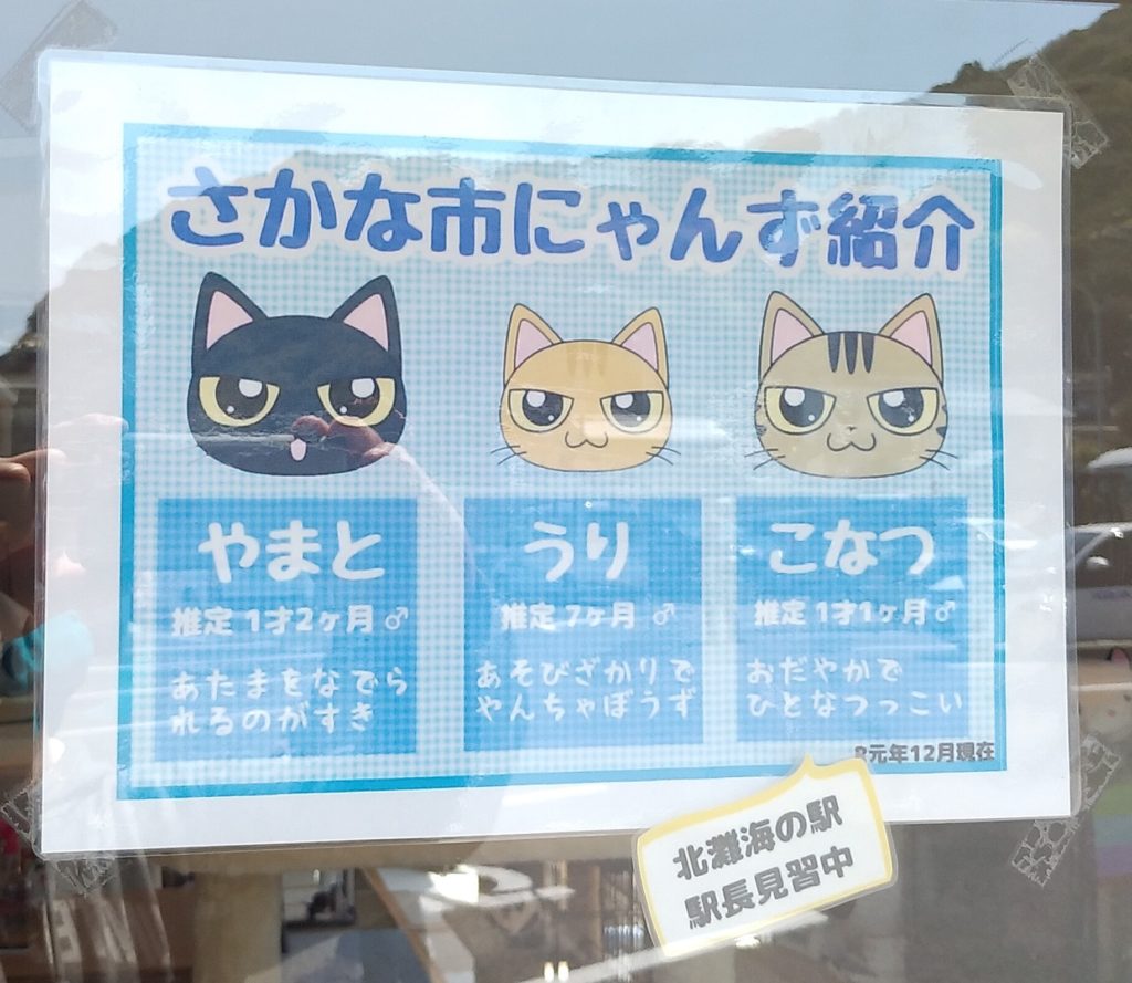 『きたなだ海の駅』さかな市にゃんず紹介