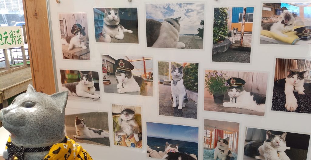『きたなだ海の駅』なるの写真