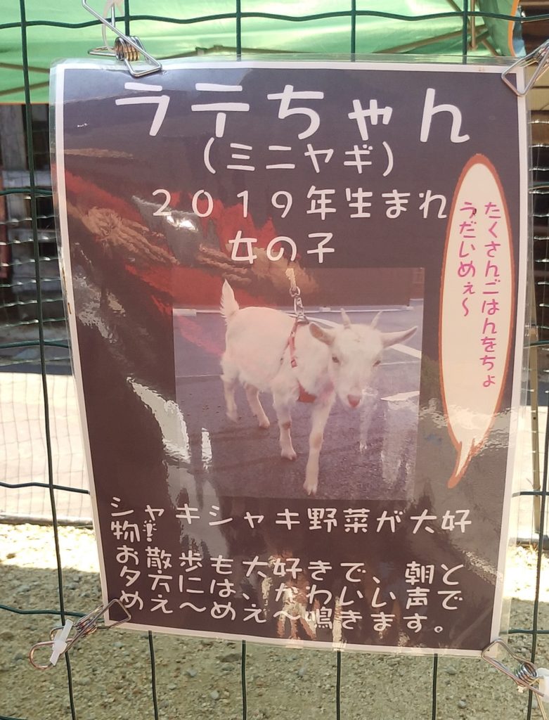 ラテちゃん紹介板