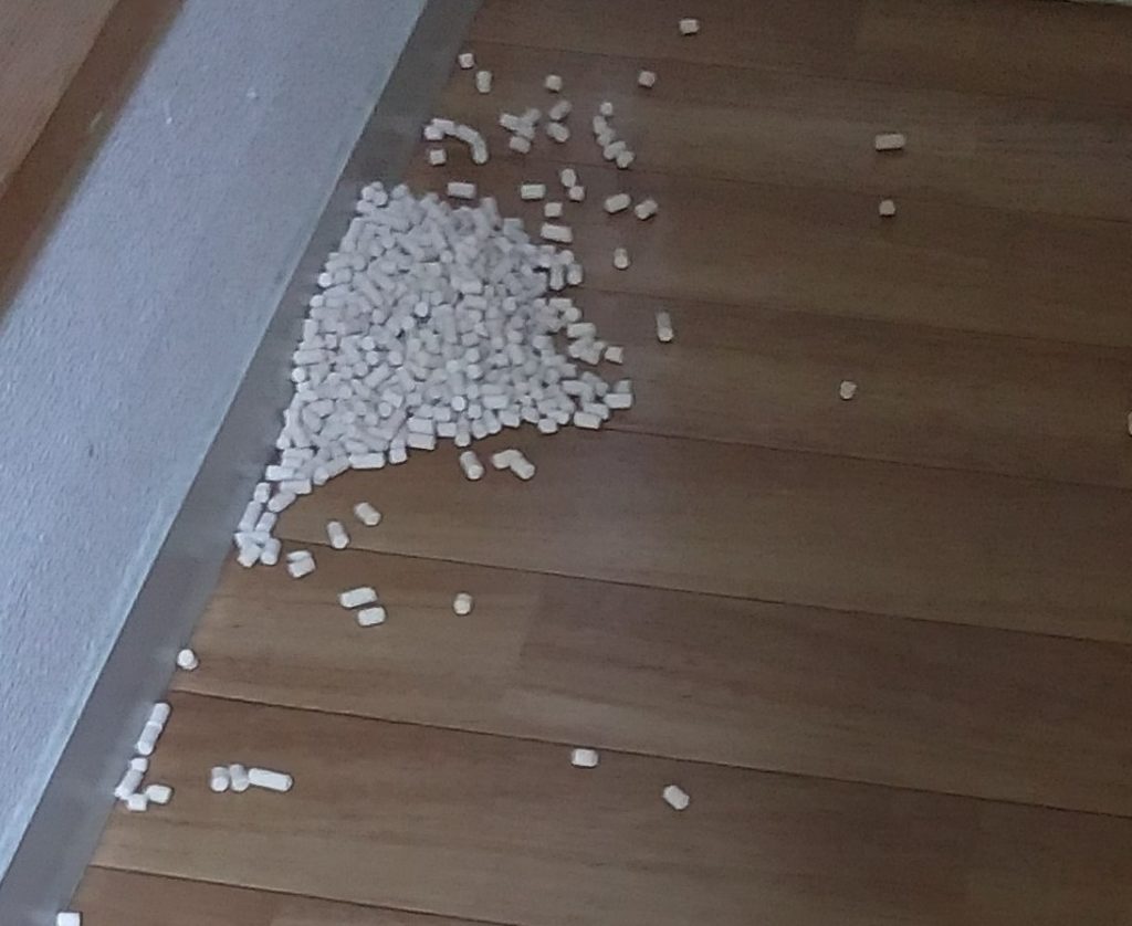 散乱した猫の砂2