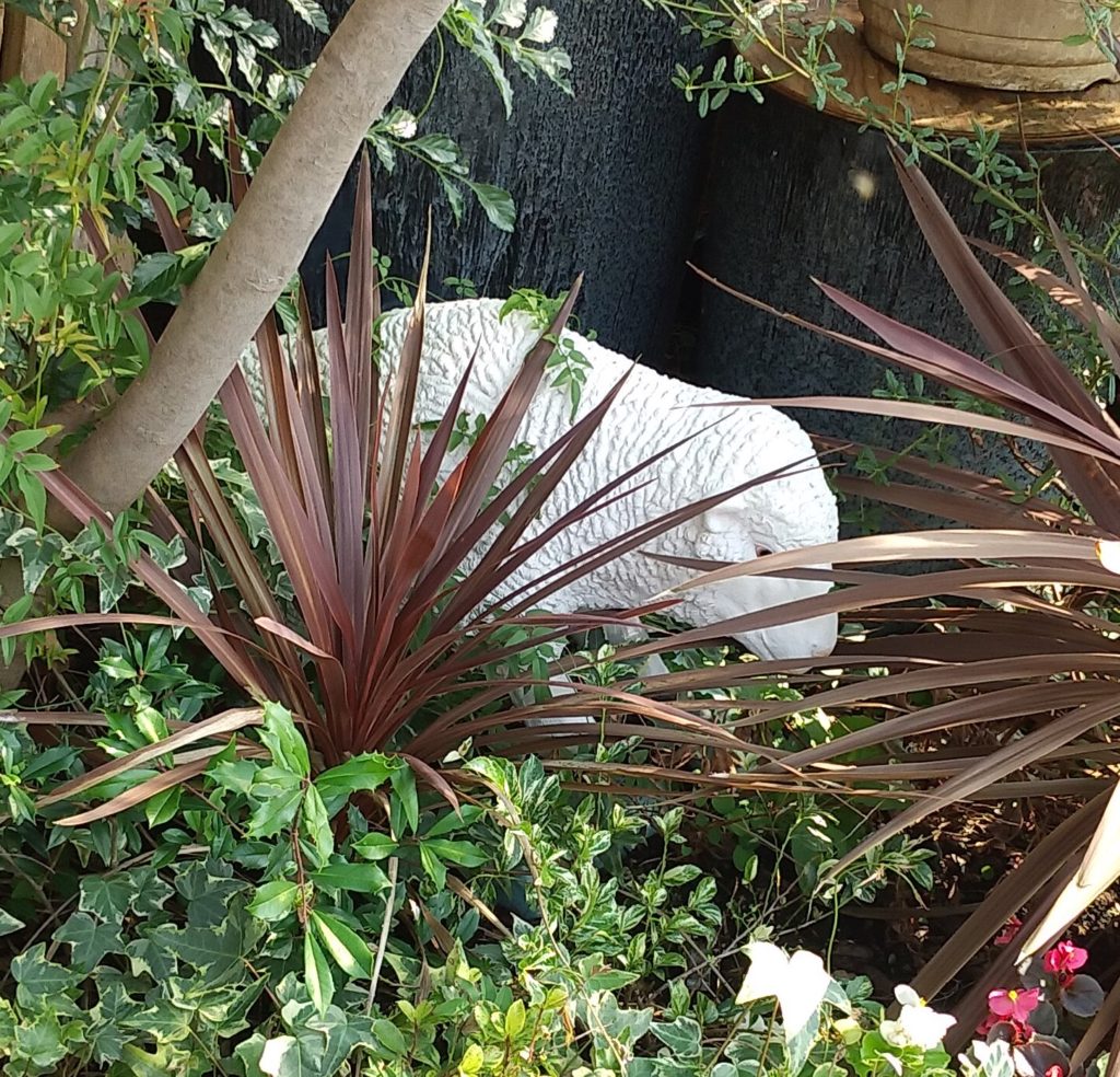 JOYGARDENひつじ