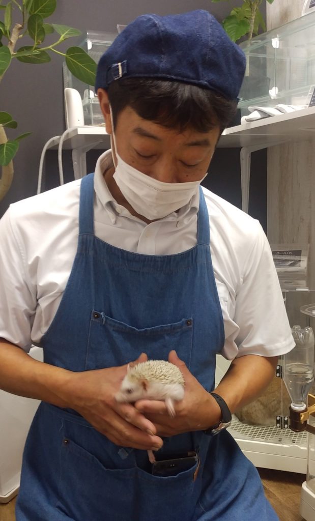 ハルハルファーム、ハリネズミ1