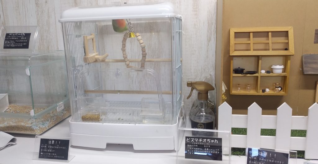 ハルハルファーム動物部屋の中2