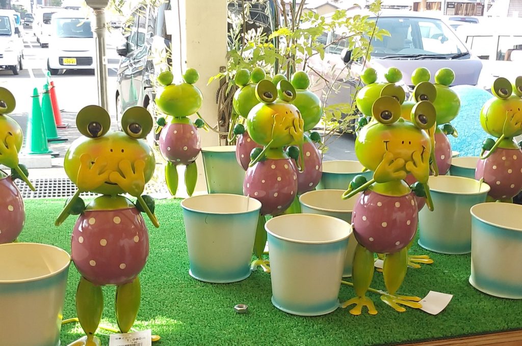 JOYGARDENカエル鉢2