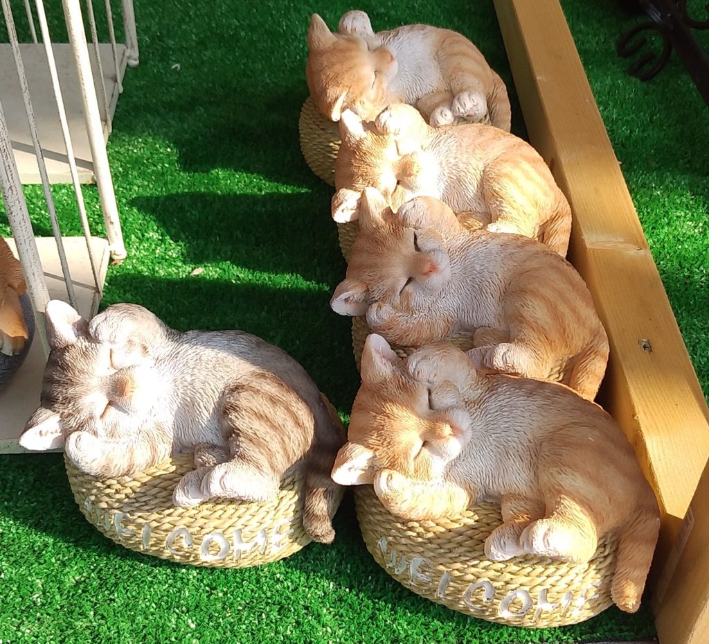 JOYGARDEひるねネコ