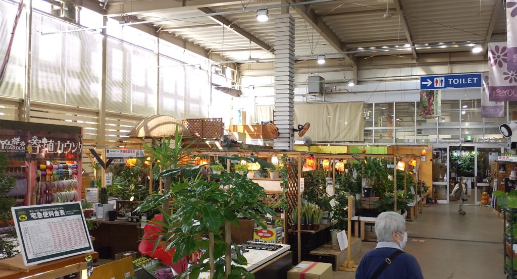JOYGARDEN屋内
