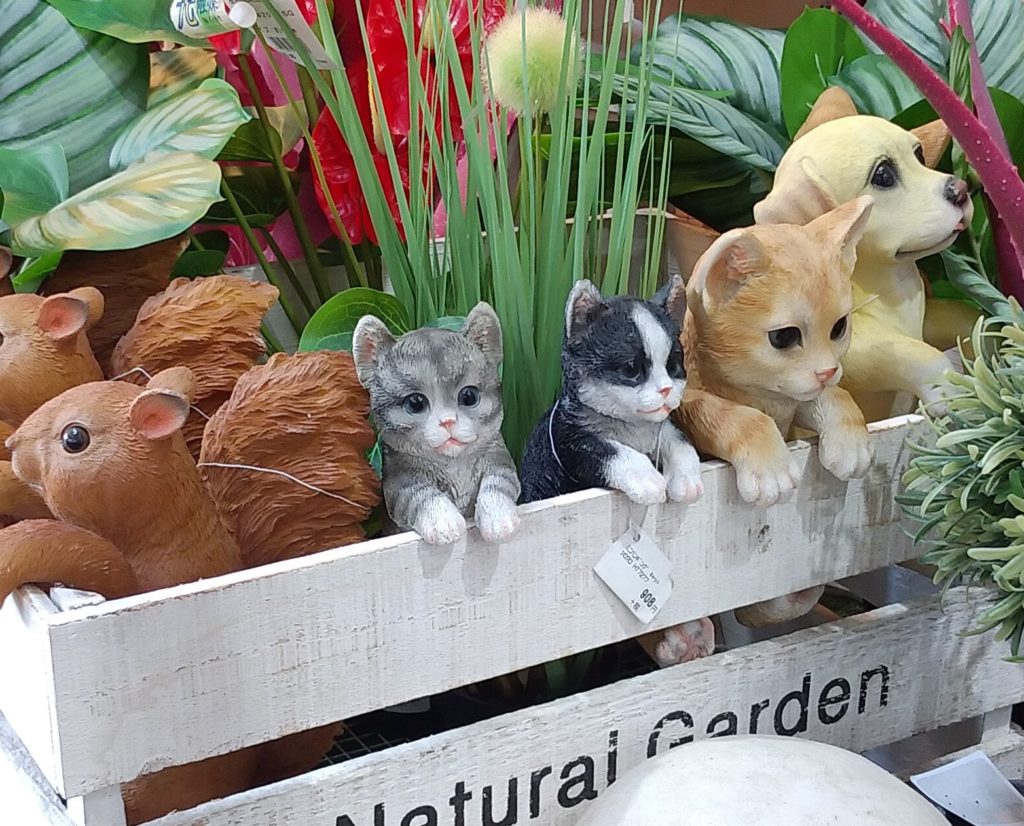 JOYGARDENファニチャーケースの中のネコ