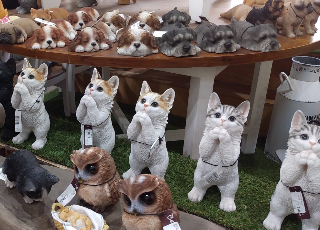 JOYGARDENファニチャーお願い猫
