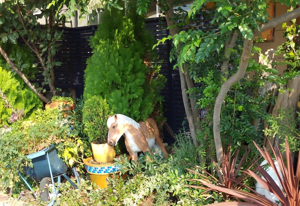 JOYGARDENポニー