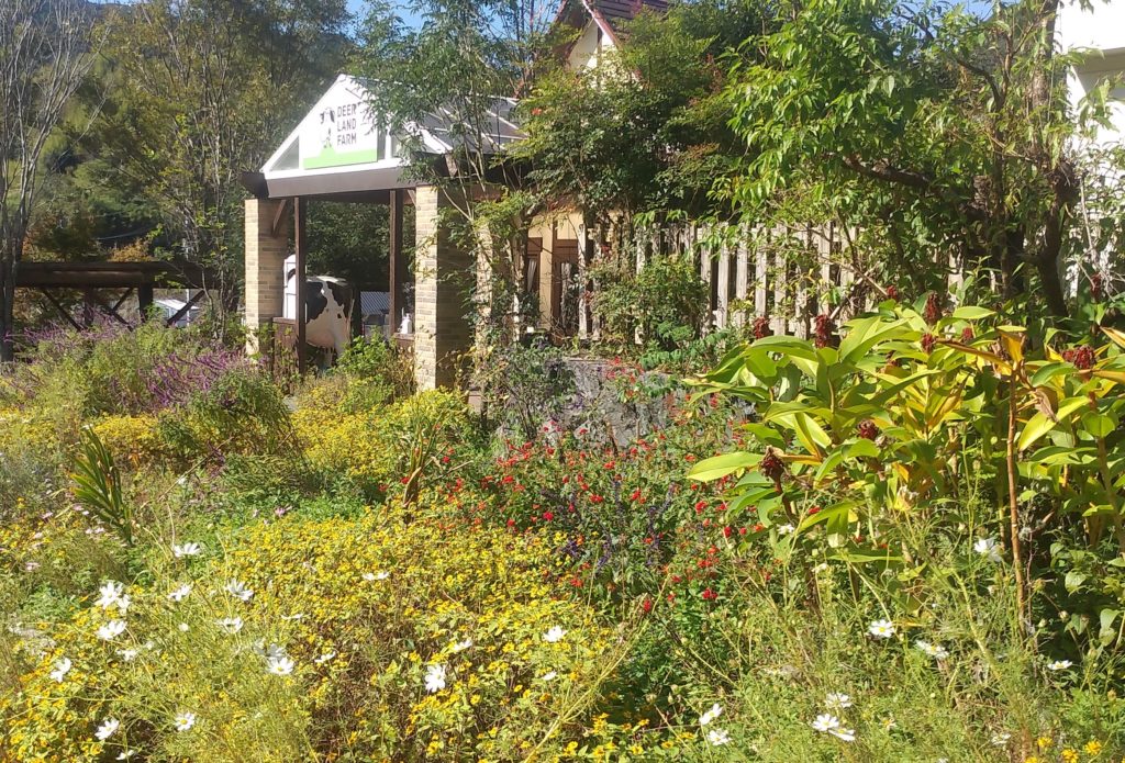 『DEER LAND FARM 岡﨑牧場』風景2