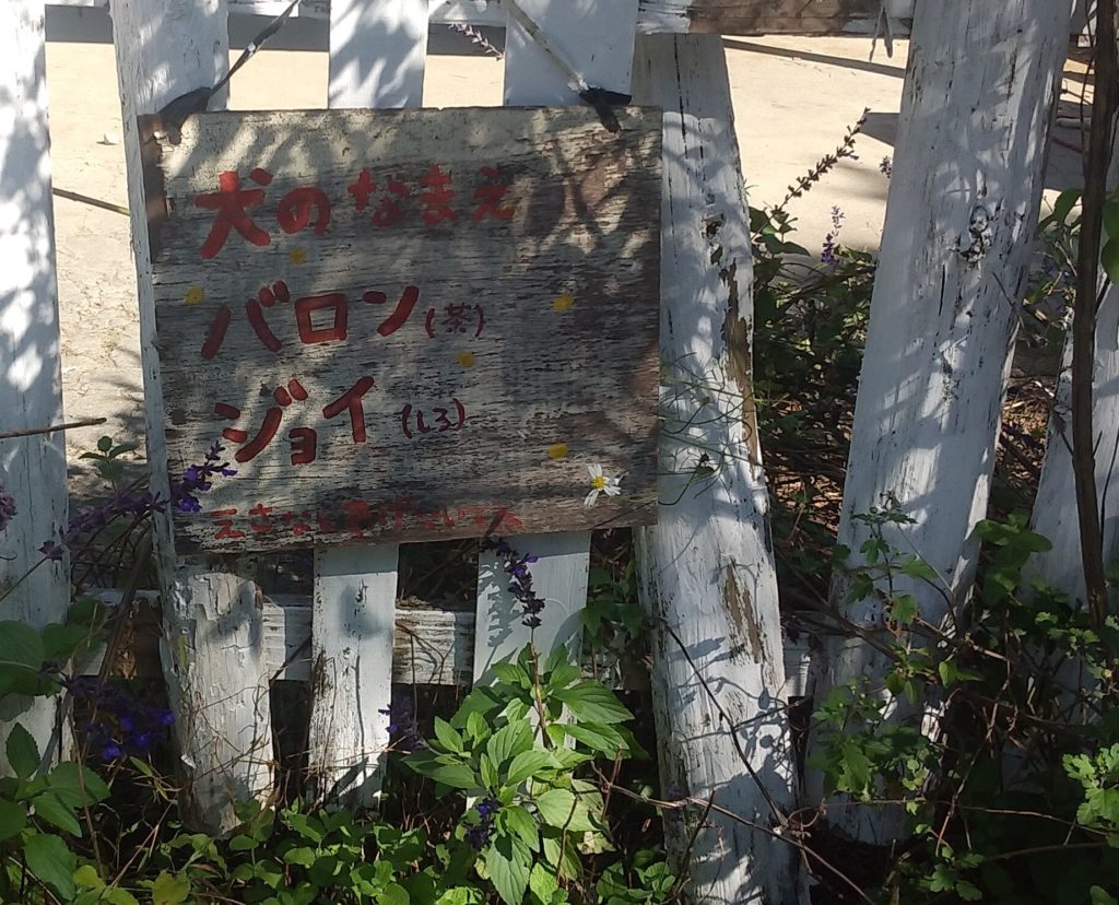 『DEER LAND FARM 岡﨑牧場』犬の名前