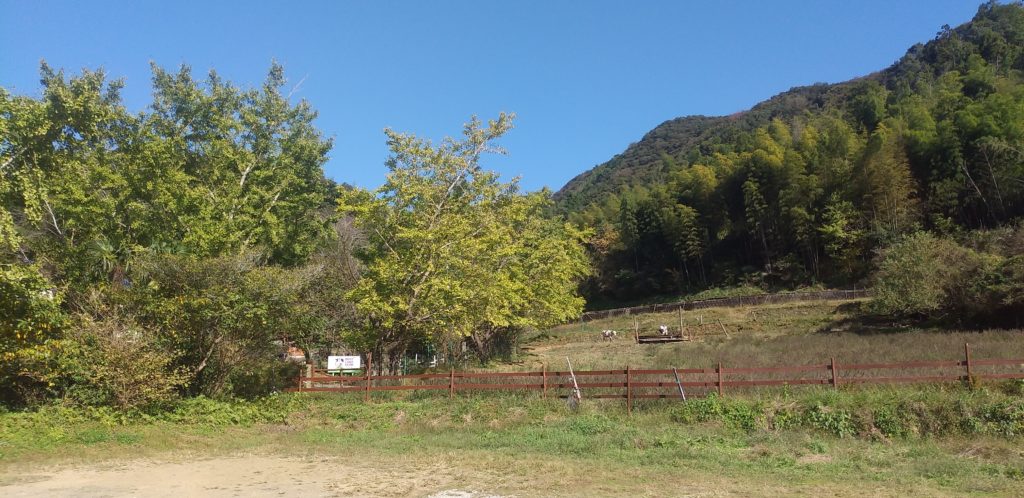 『DEER LAND FARM 岡﨑牧場』全景