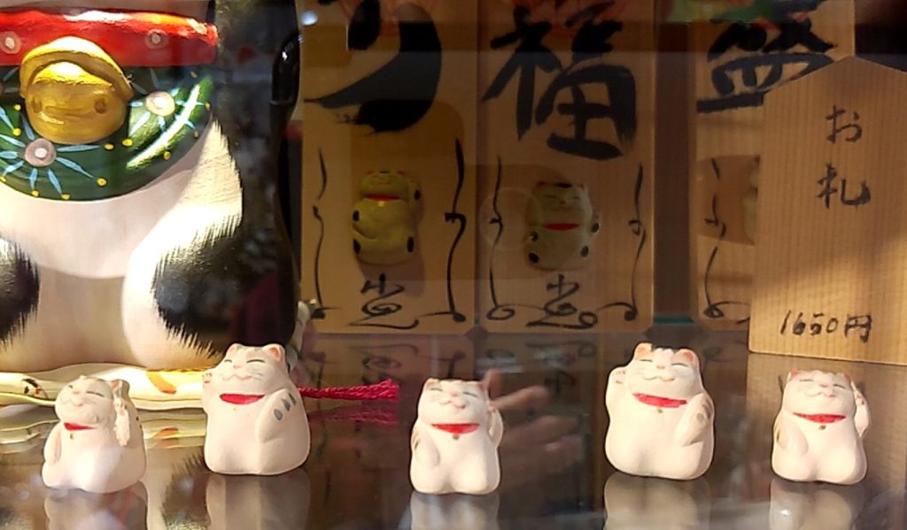 『ねこの大五郎』もりわじん4