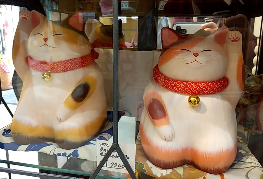『ねこの大五郎』もりわじん3