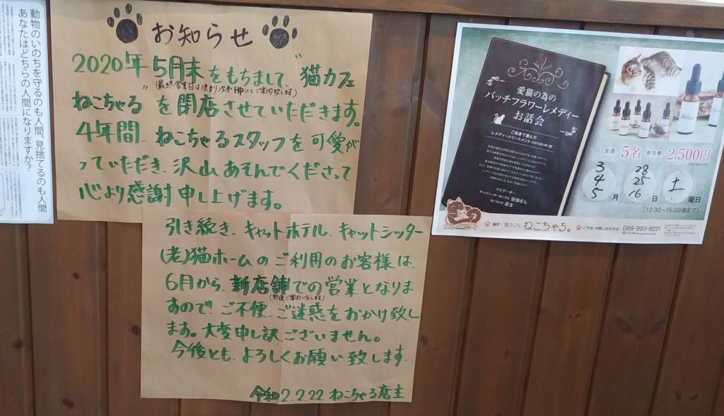 『猫カフェ ねこちゃる』閉店お知らせ