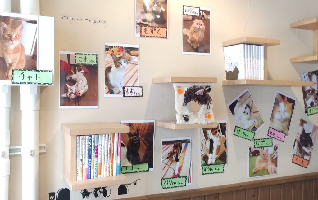 『猫カフェ ねこちゃる』壁の棚