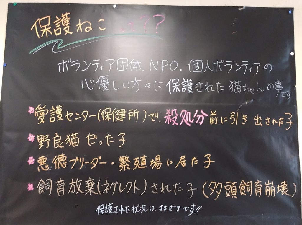 『猫カフェ ねこちゃる』保護ねこの説明
