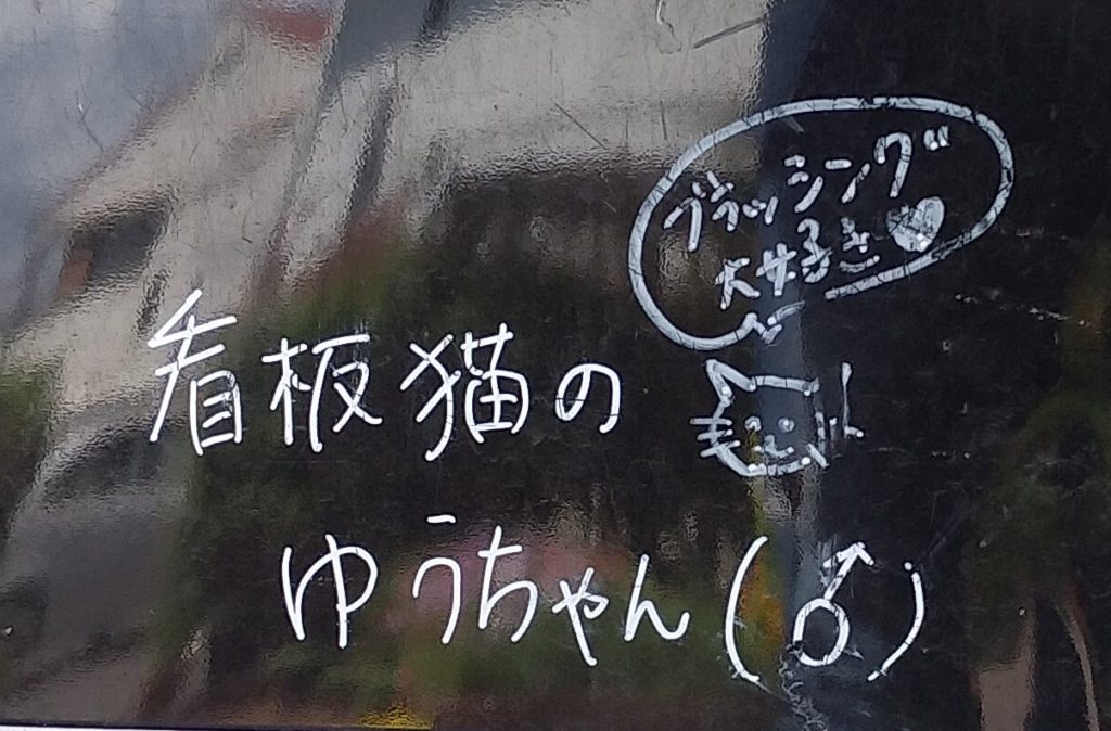 看板猫のゆうちゃん(文字)