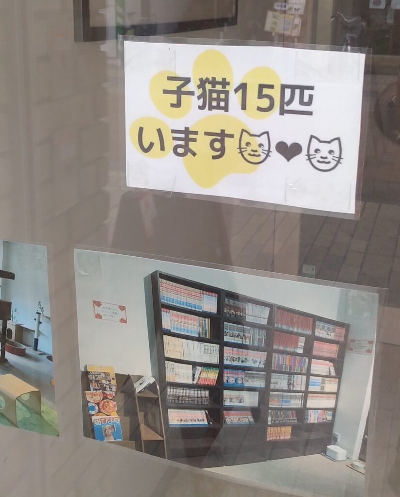 CATLOAF子猫15匹います
