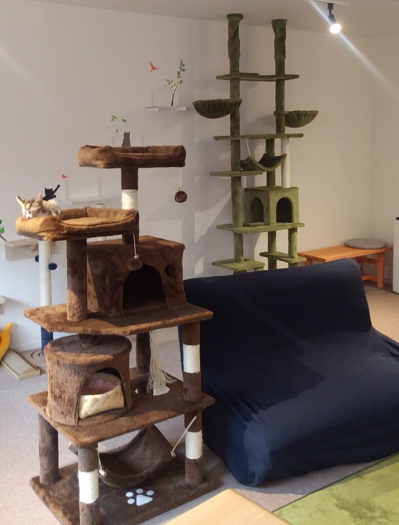 CATLOAFインテリア1