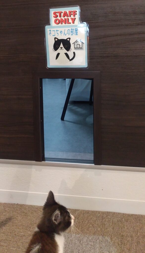 CATLOAF猫トイレ窓