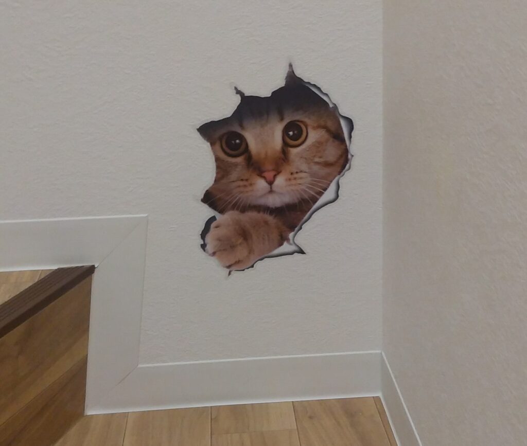 CATLOAF壁から猫