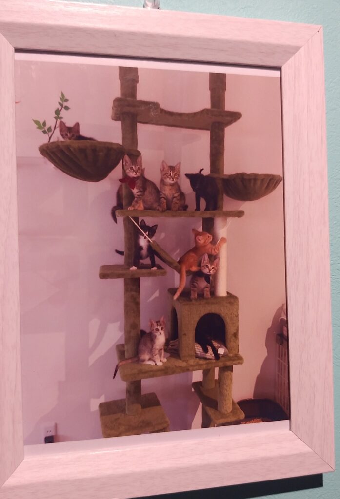 CATLOAF絵