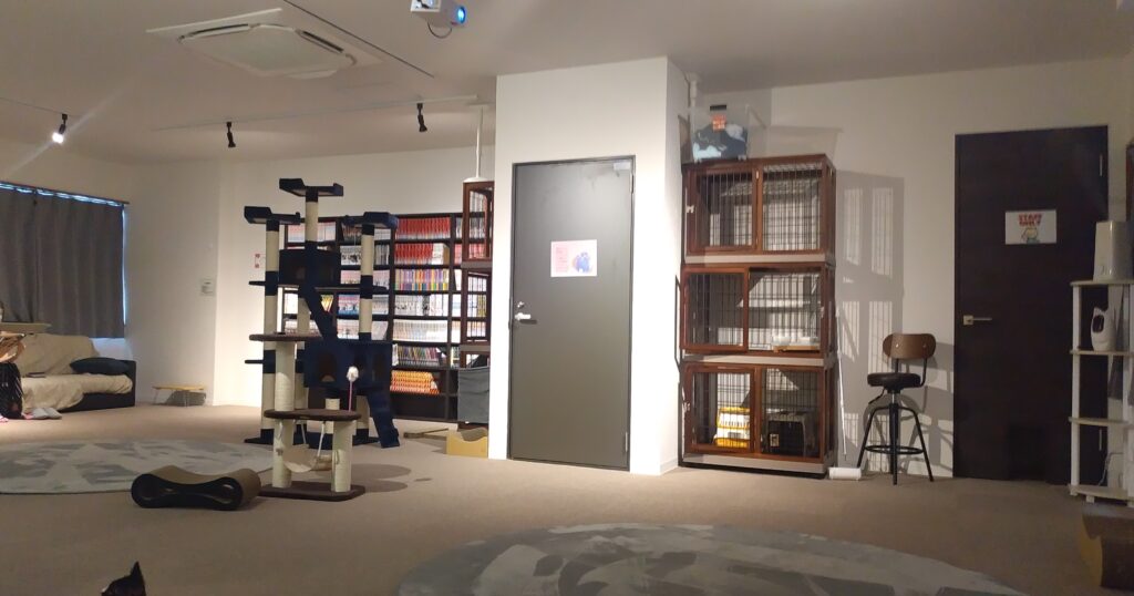 CATLOAF3階部屋1