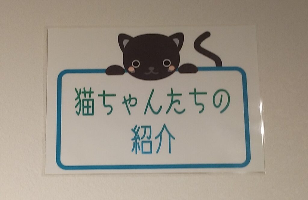 CATLOAFねこちゃんたちの紹介1