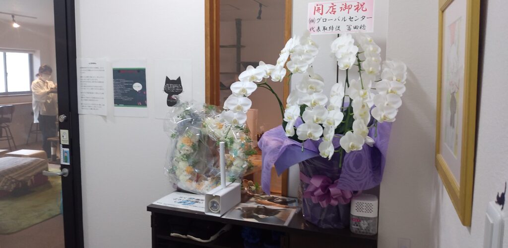 CATLOAF入口