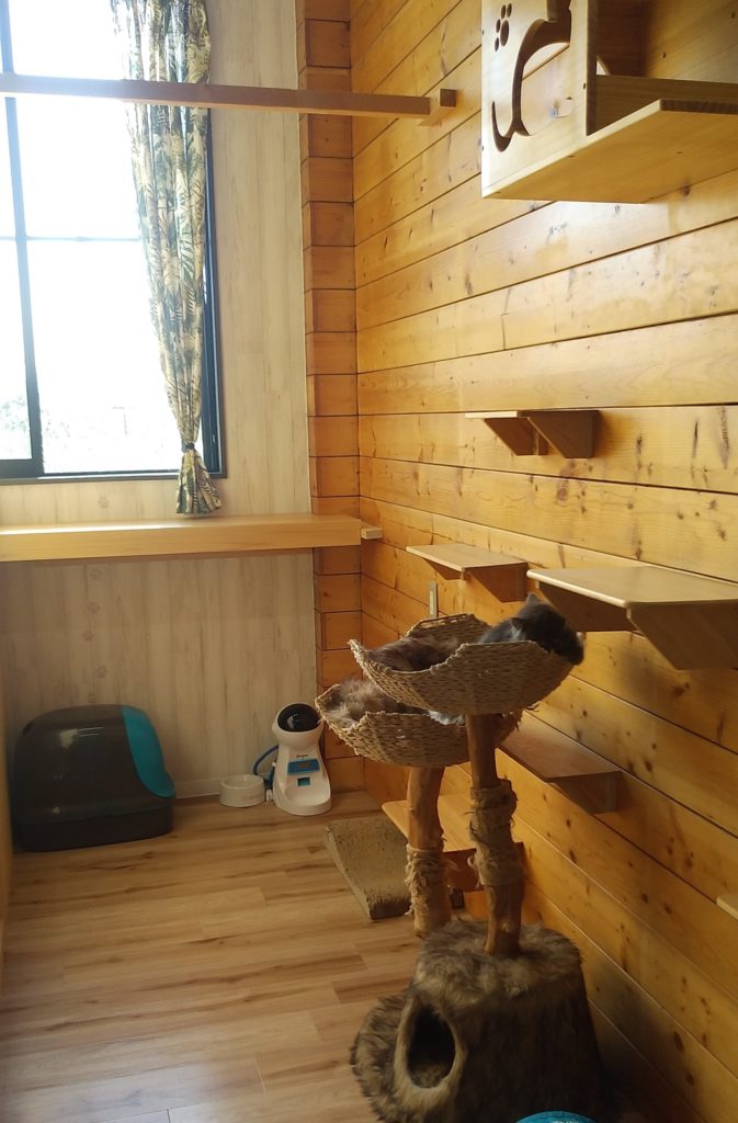 Pato’s Cafe子猫部屋2