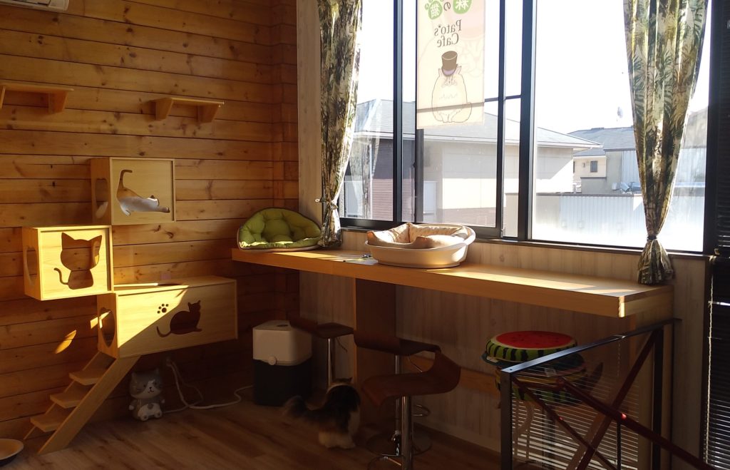 Pato’s Cafe 猫ルーム内カウンター
