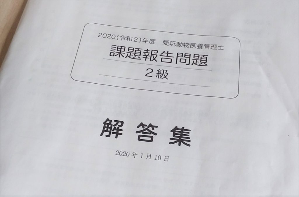 愛玩動物飼養管理士課題報告問題