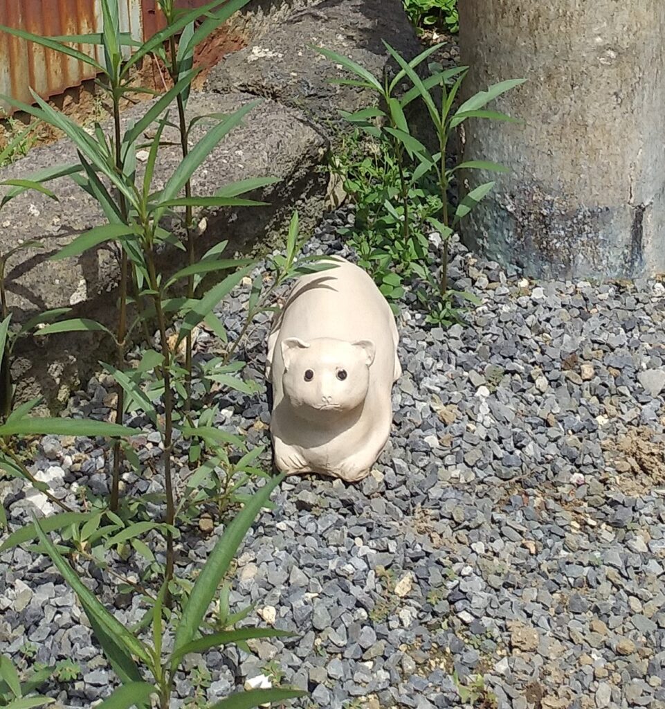 清水温泉道の猫2
