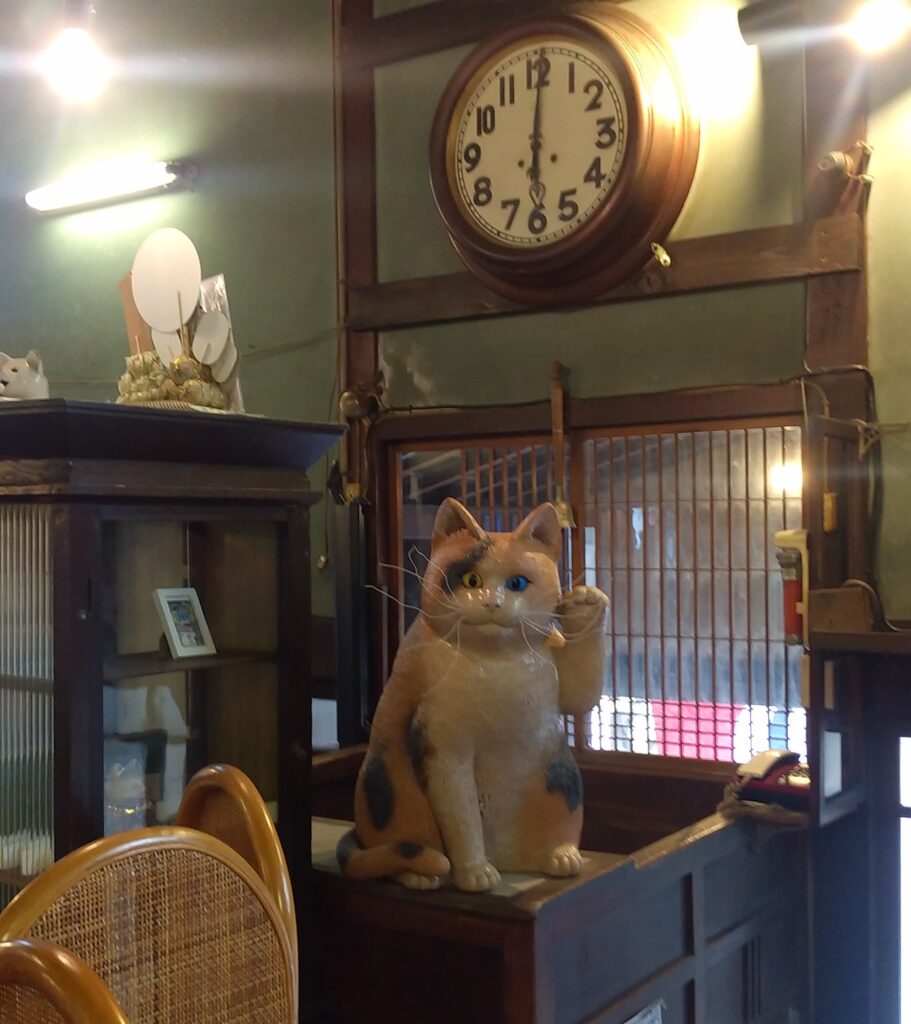 清水温泉番台の猫
